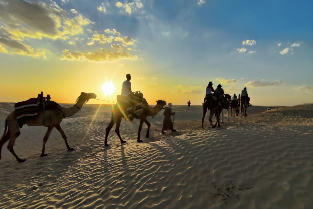 Longue caravane de chameaux sur les dunes